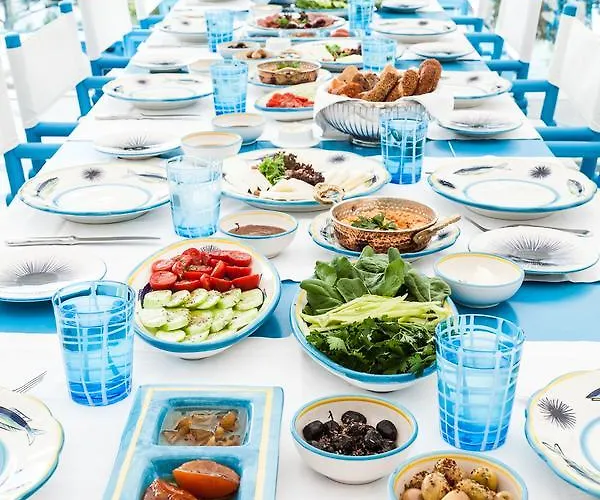 Il Riccio House ホテル