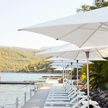 Il Riccio House غولتوركبوكو