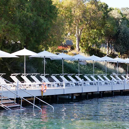 Hotel Il Riccio House