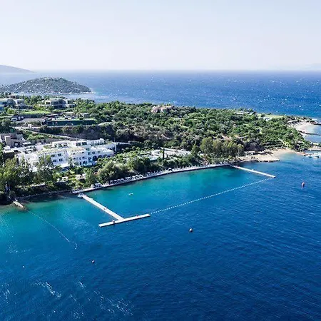 فندق Il Riccio House