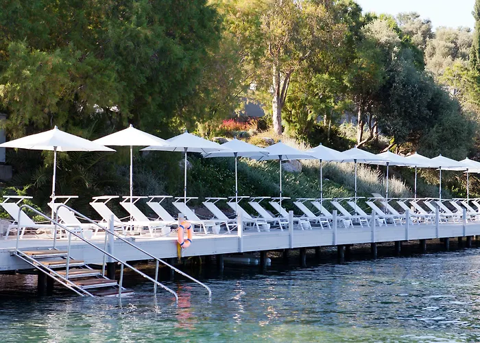 Ξενοδοχείο Il Riccio House 4*